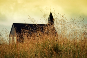 church in golden grass
