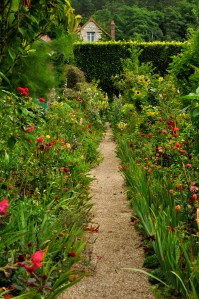 Path in Monet's garden