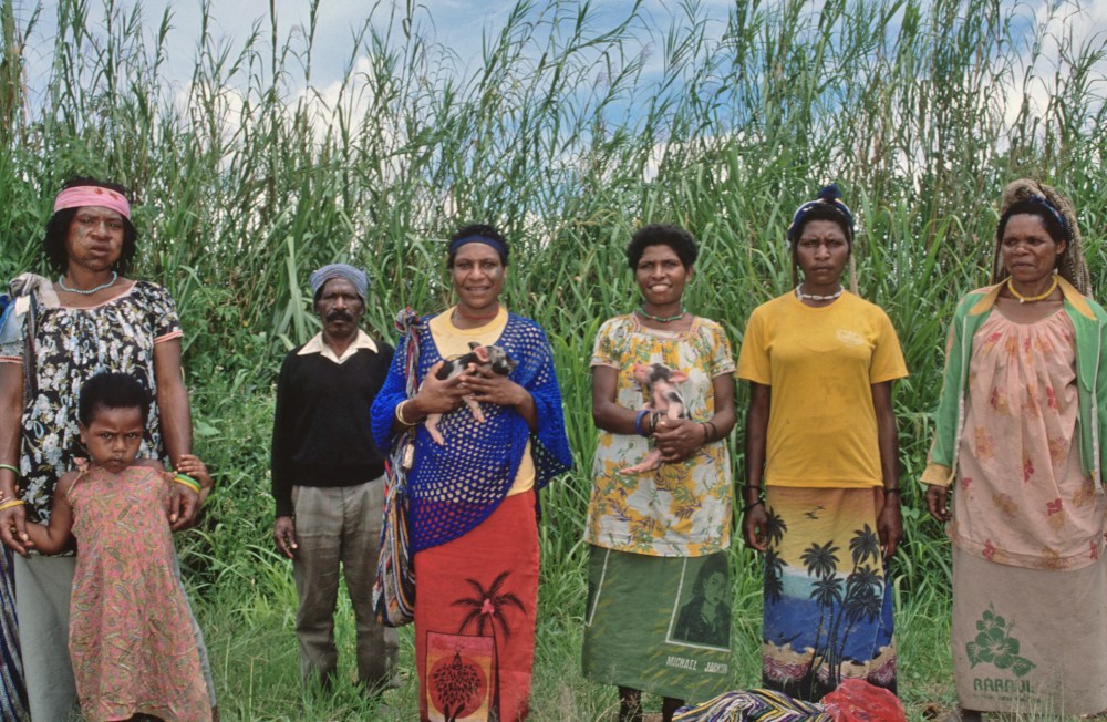 Papua New Guinea women with piglets